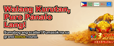 Exclusive DMJILI Casino Rewards!